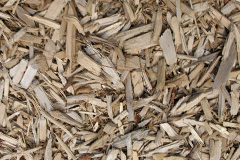 biomass boilers Rexon